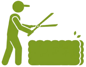 Hedge Trimming & Shaping