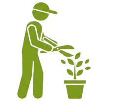 Plant Care & Pruning