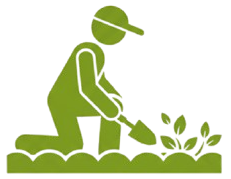 Weeding & Border Care